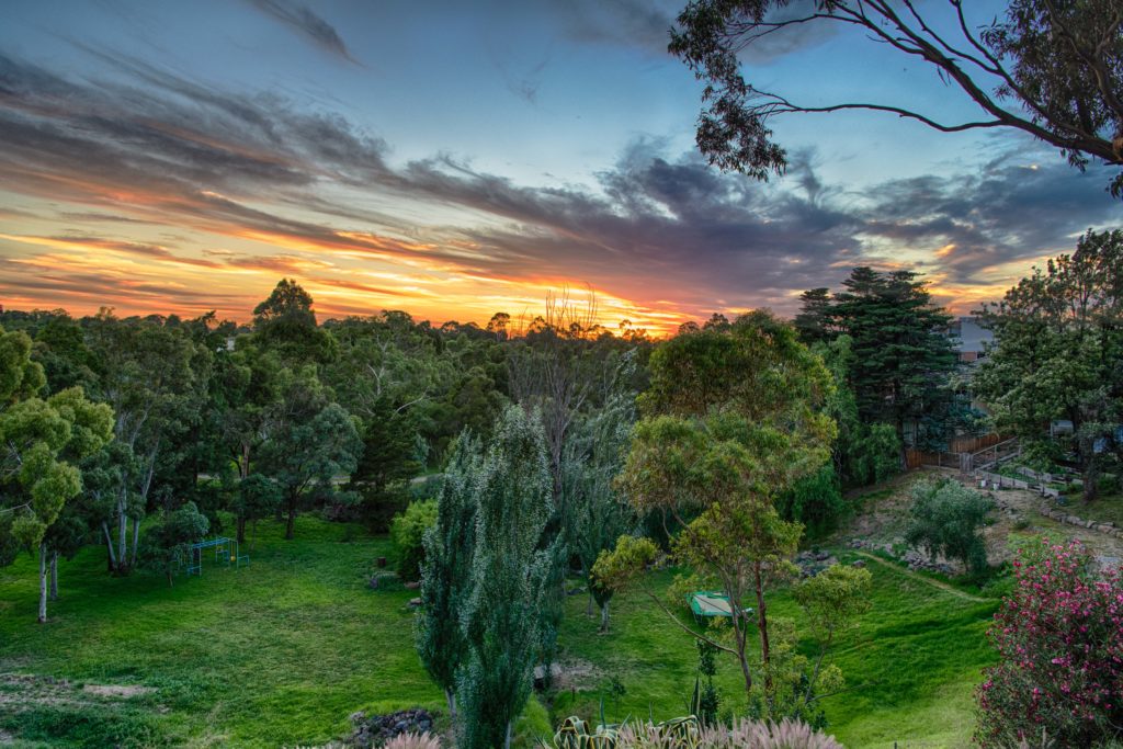 Alphington Alphington